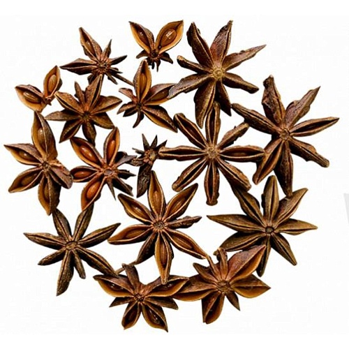 СПЕЦИИ Бадьян Айдиго, Россия